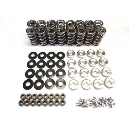 Picture of .660" LIFT PLATINUM SPRING KIT SK001