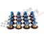 Picture of BTR 2001-Up LS Hat Valve Seals, Set of 16