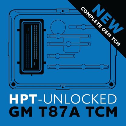 Picture of New GM Unlocked T87A TCMs